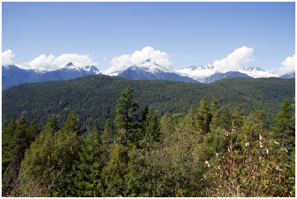 02 - Whistler (1).JPG